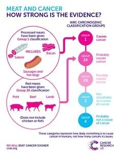  Livello di cancerogenicità dei vari tipi di carne secondo l’IARC 