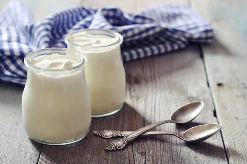  I migliori yogurt probiotici in commercio con fermenti lattici vivi  