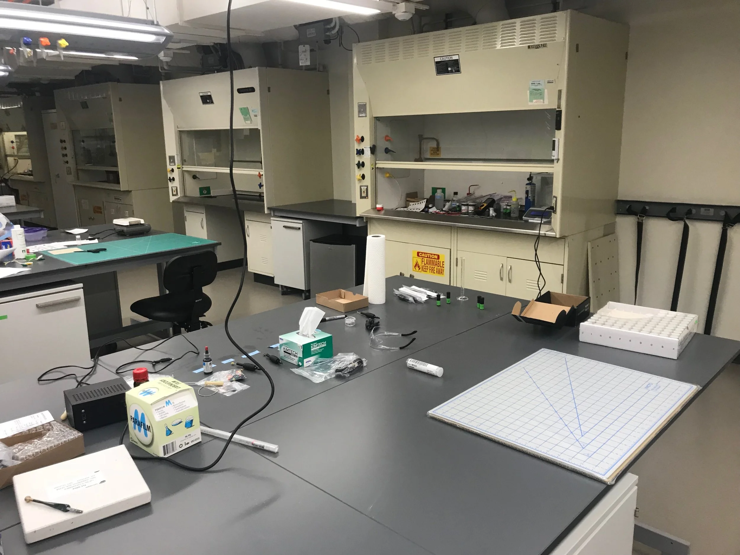 The Laboratory for Emergent Nanomaterials Opens!