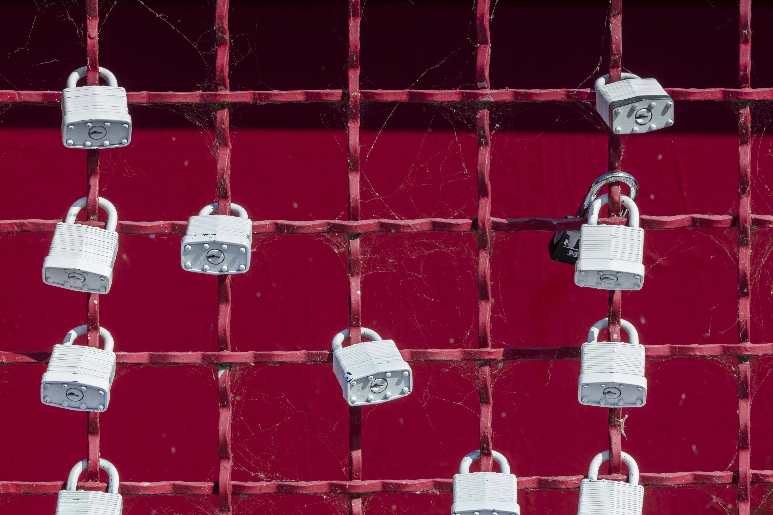 11 Ways to Avoid Being Scammed