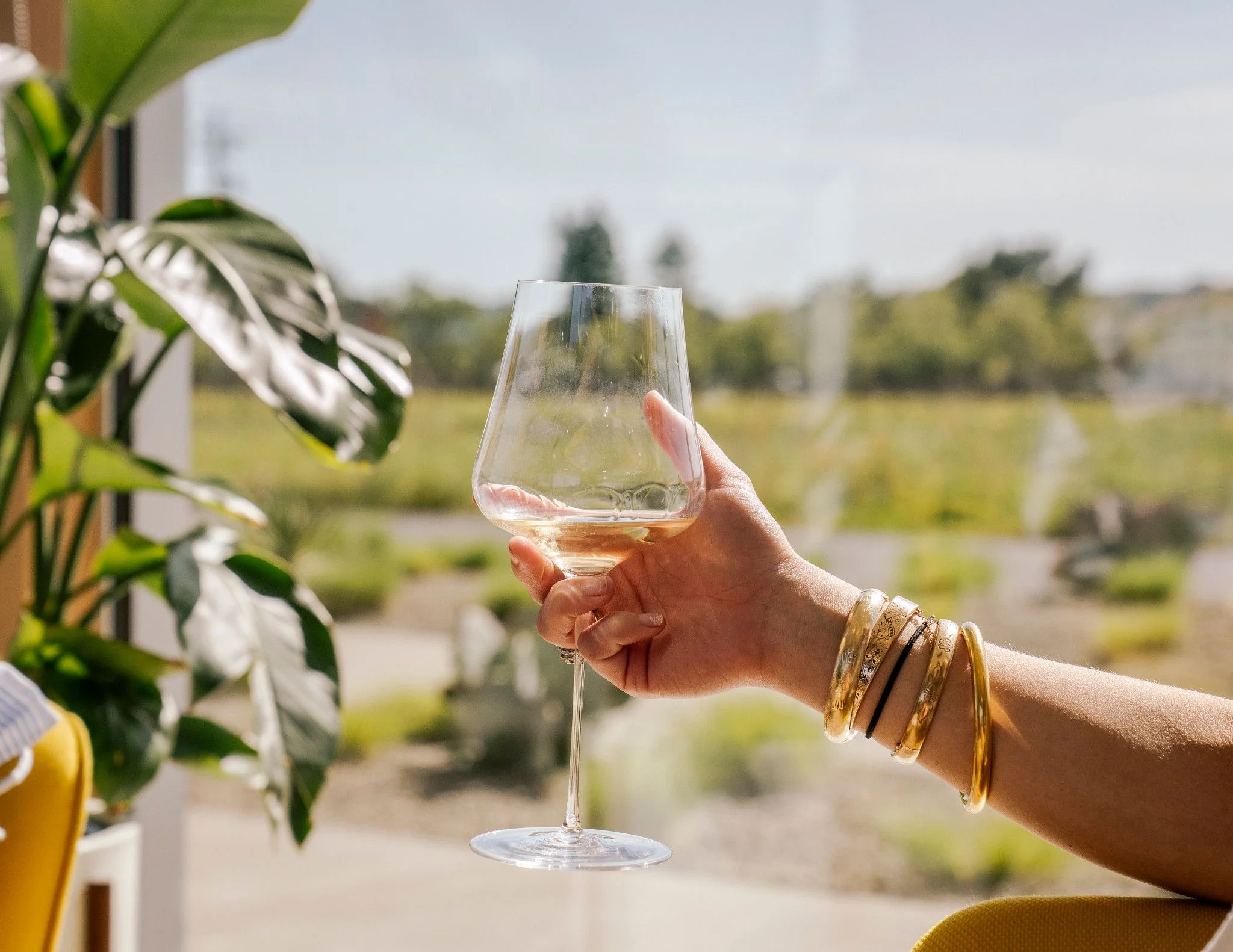 What's Happening in Napa Valley in August & Hotel Deals