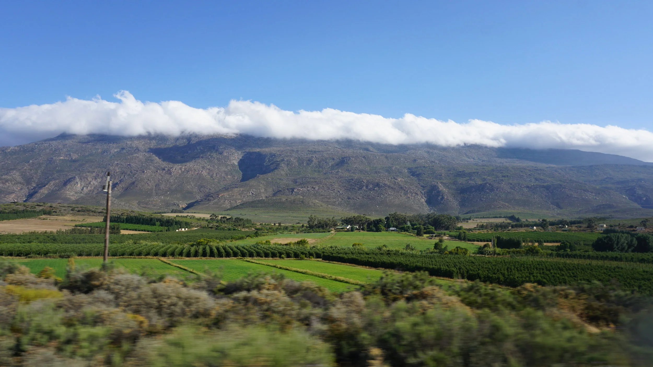 September is California Wine Month: Come Visit!