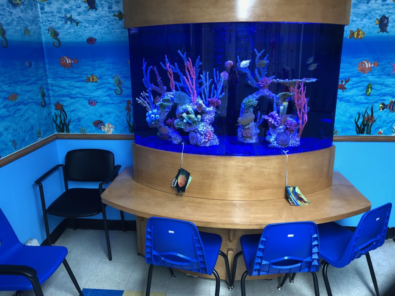 Therapy Aquarium