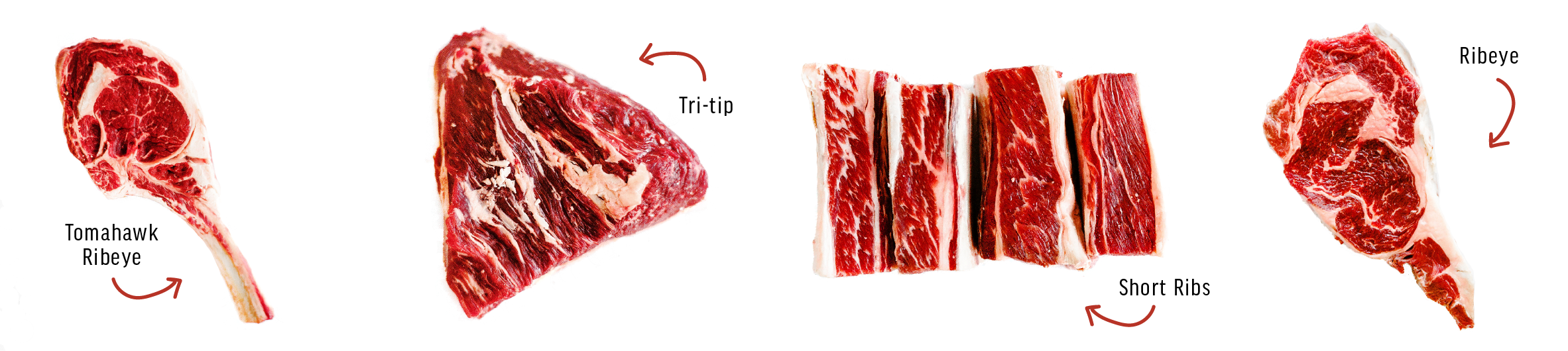 AMM Cuts-20.png