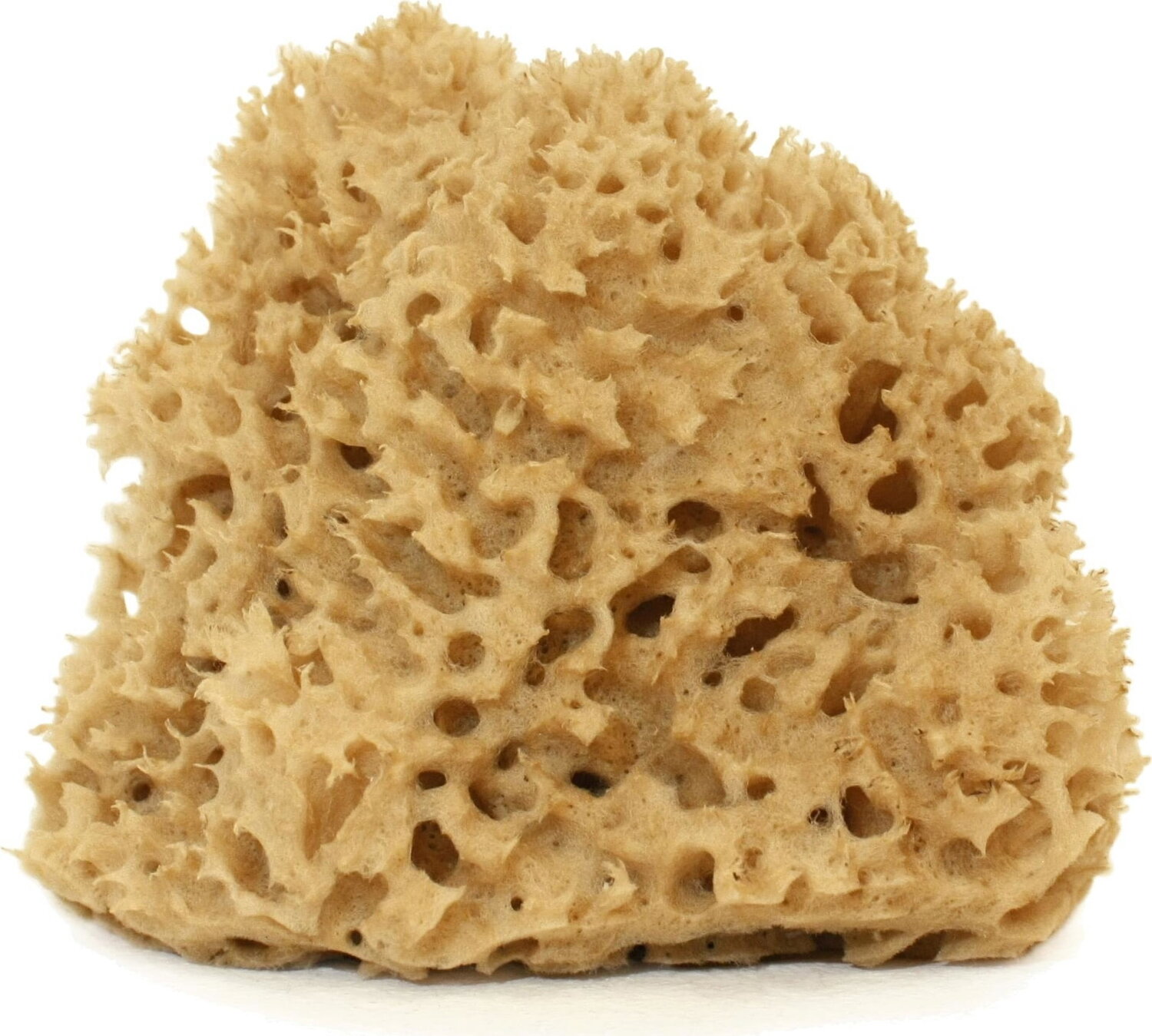 Губка натуральная «eponge naturelle». Sponge s