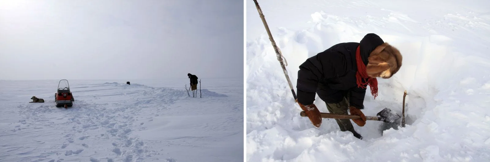 winter nets_double.jpg