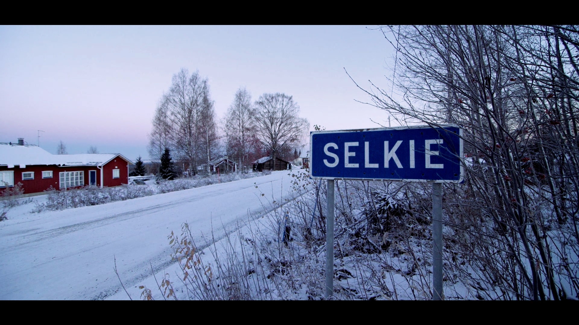 Selkie.jpg