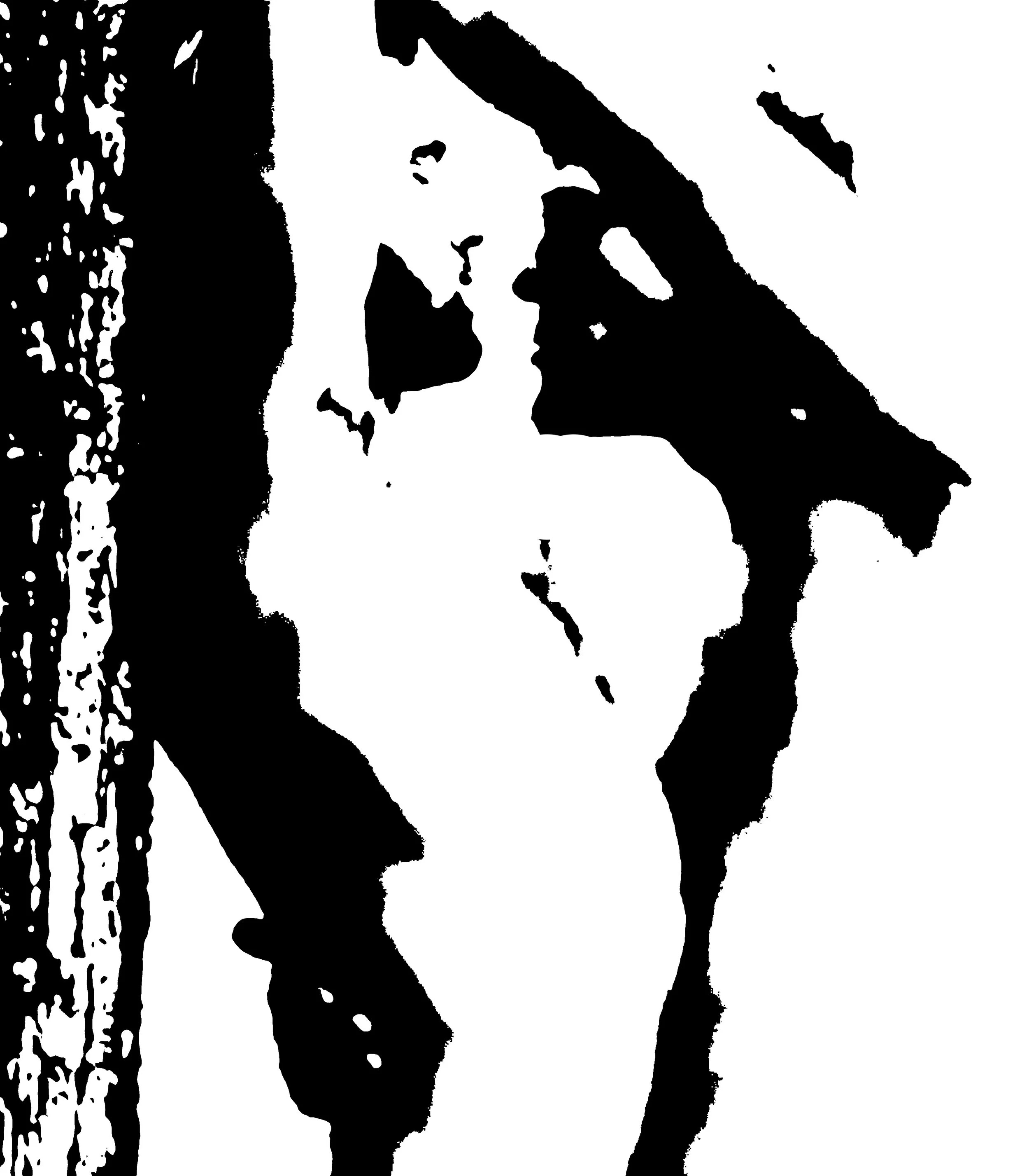 La Chaîne De Montagnes 