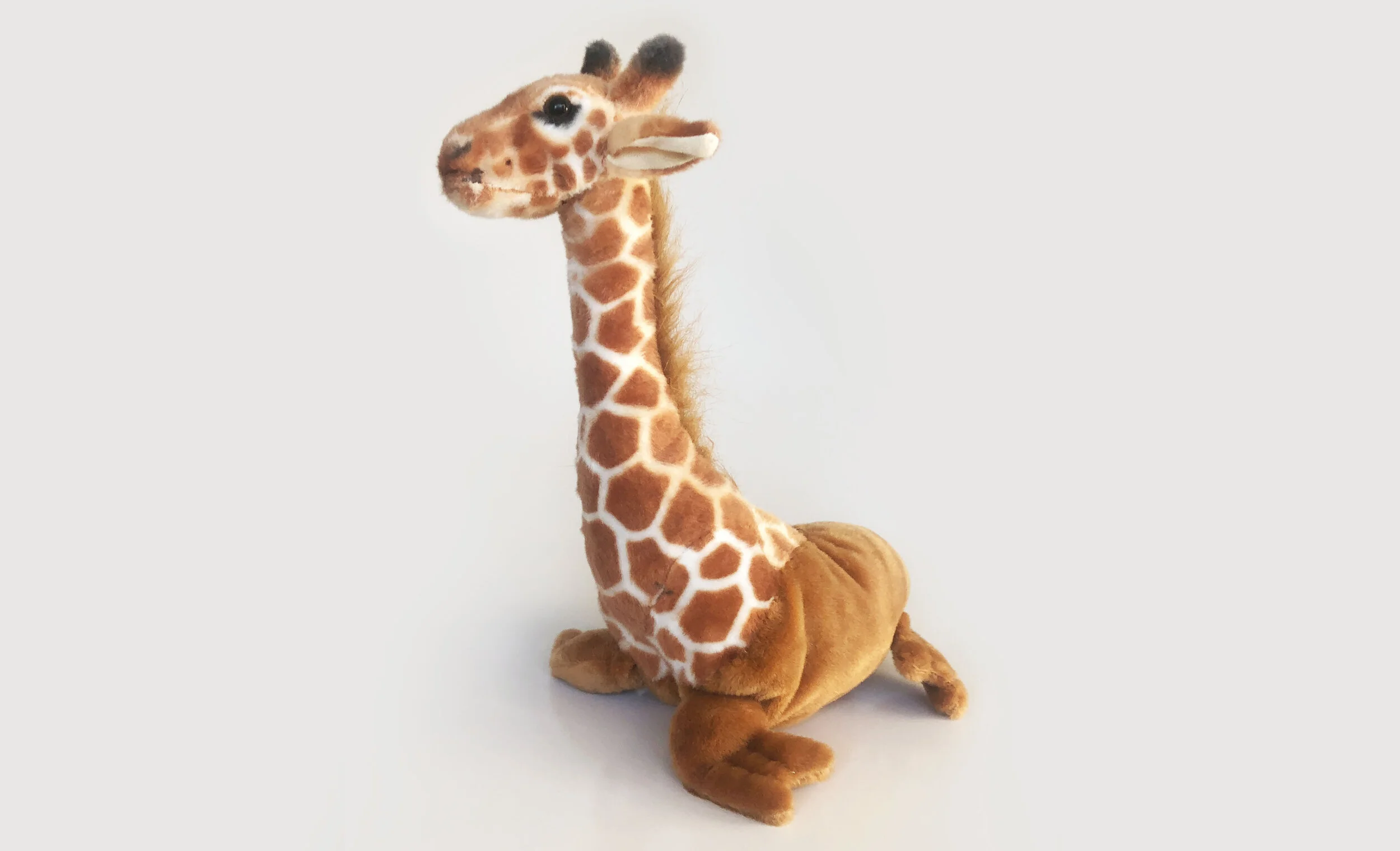 Walraffe