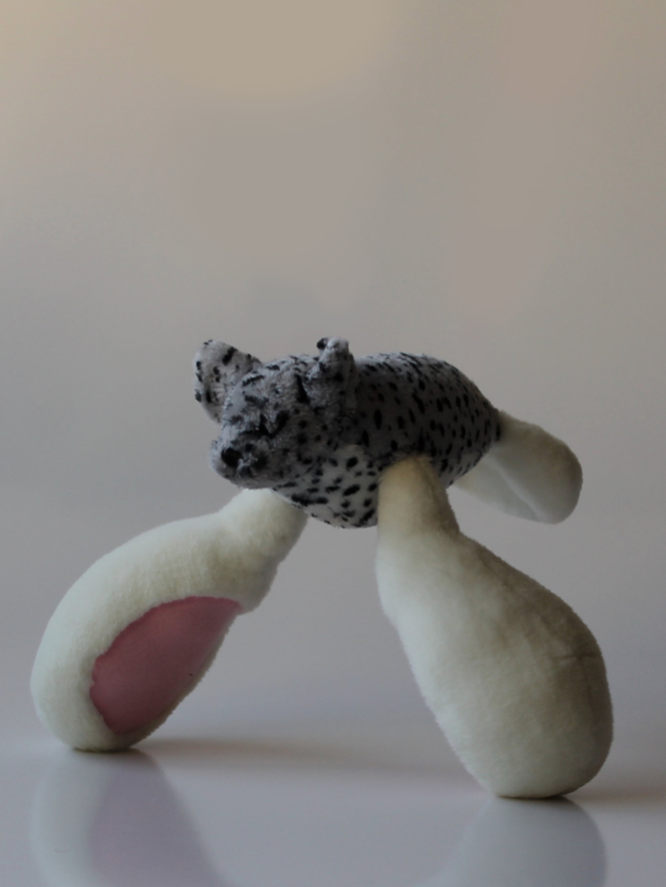 Screen Shot 2018-01-10 at 3.41.10 PM.png