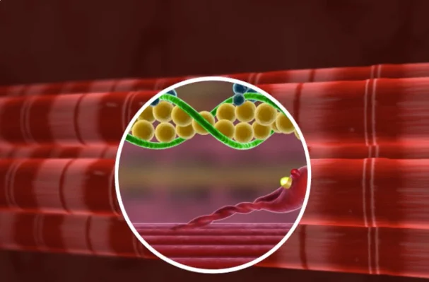   Producer | Pearson Education   • Produced over 250 physiology and anatomy educational animations including working as developmental editor with authors as well as sourcing/managing subject-matter-expert review teams • Worked closely with internal s