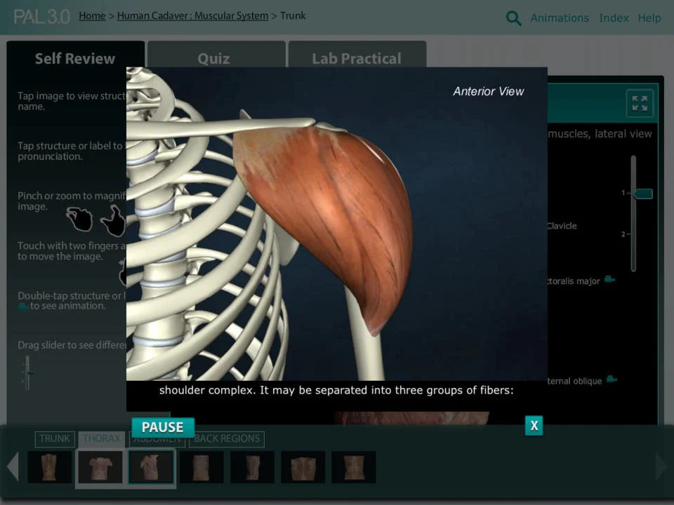   Senior Content Producer | Pearson Education   • Produced Practice Anatomy Lab and the embedded anatomy animations • Project Management included development the original RFP and vendor SOWs  • Managed author team for the tool and animations; image a