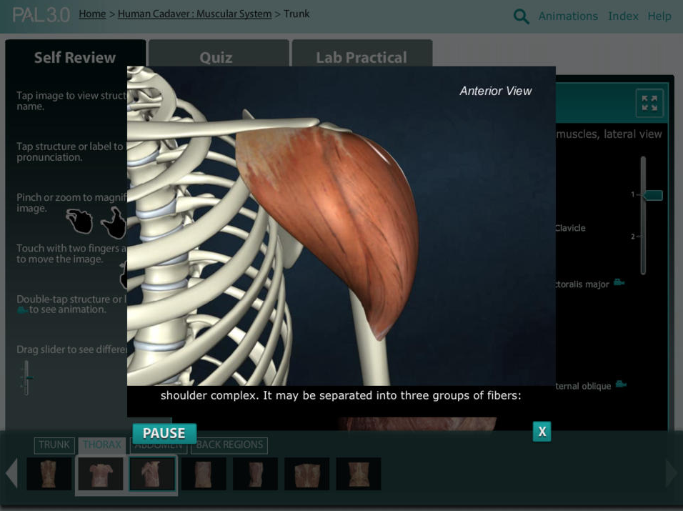 PAL_screenshot_animation.png