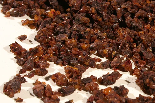 Photo: Minimally processed rich red toned seedlac containing twig and lac beetle remnants