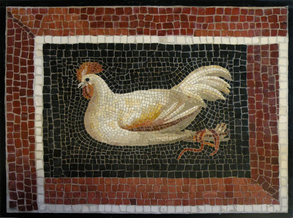 Photo: "Chicken" after conservation; detail