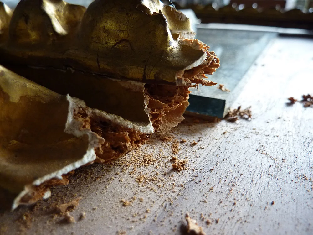 A detail of an ornate gilded frame where the wood substrate has been severely damaged by powderpost beetles, resulting in large voids, and catastrophic detachment of the piece. The amount of loss to the support adds further complexity to the repair of the frame. Note the loose frass on the surface.