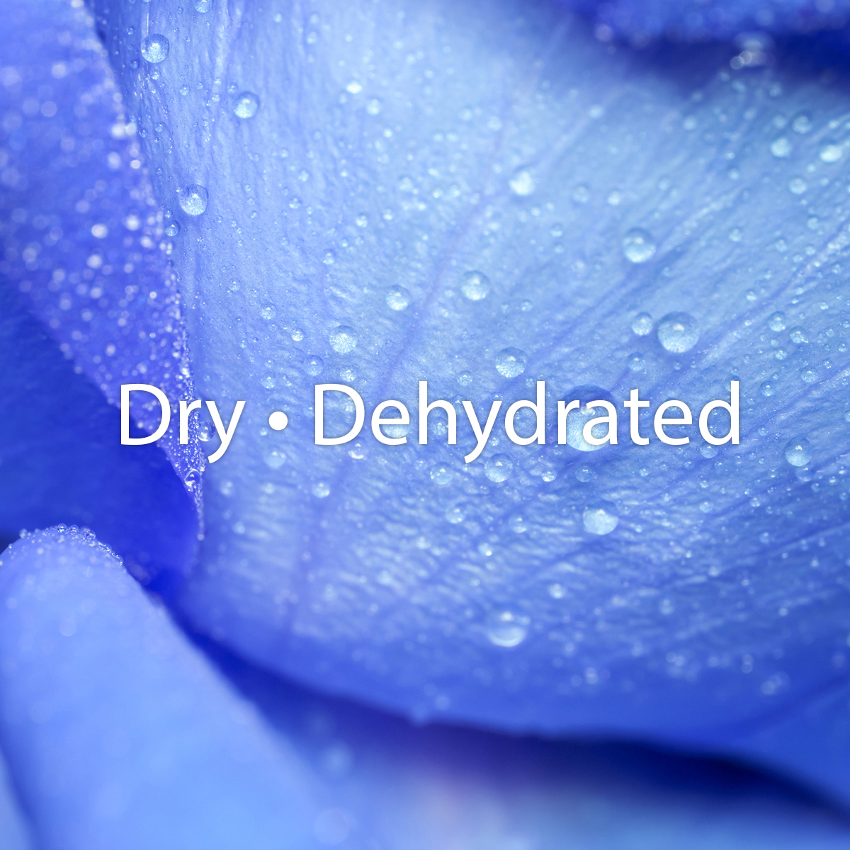 Dry_dehydrated.jpg