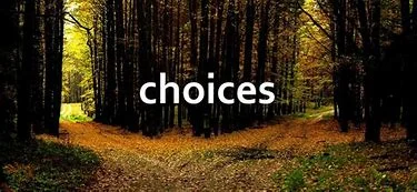 choices1.jpg