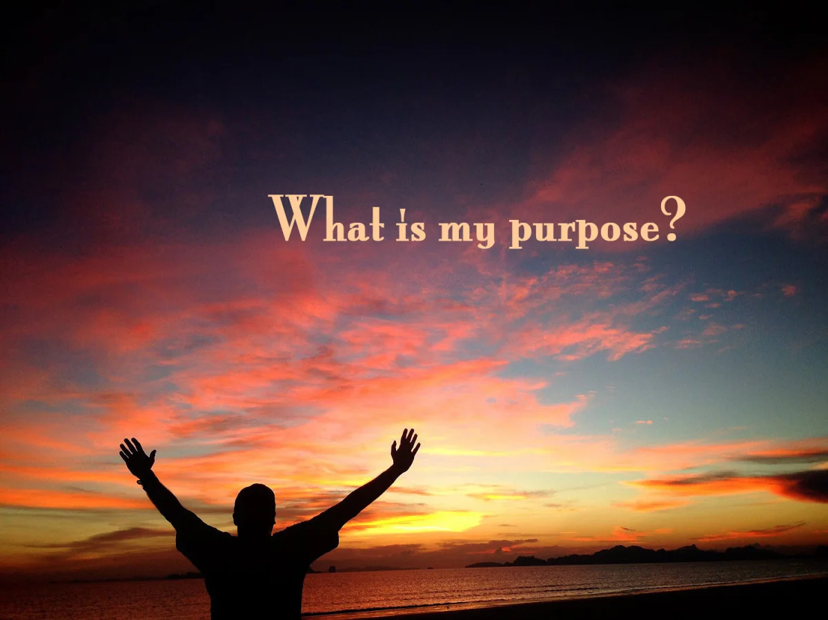 purpose1.jpg