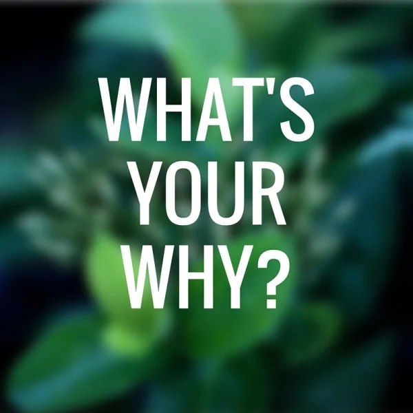whats-your-why-600x600.jpg