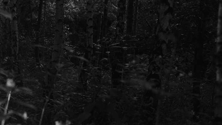 Coincidentia Oppositorum-high.gif