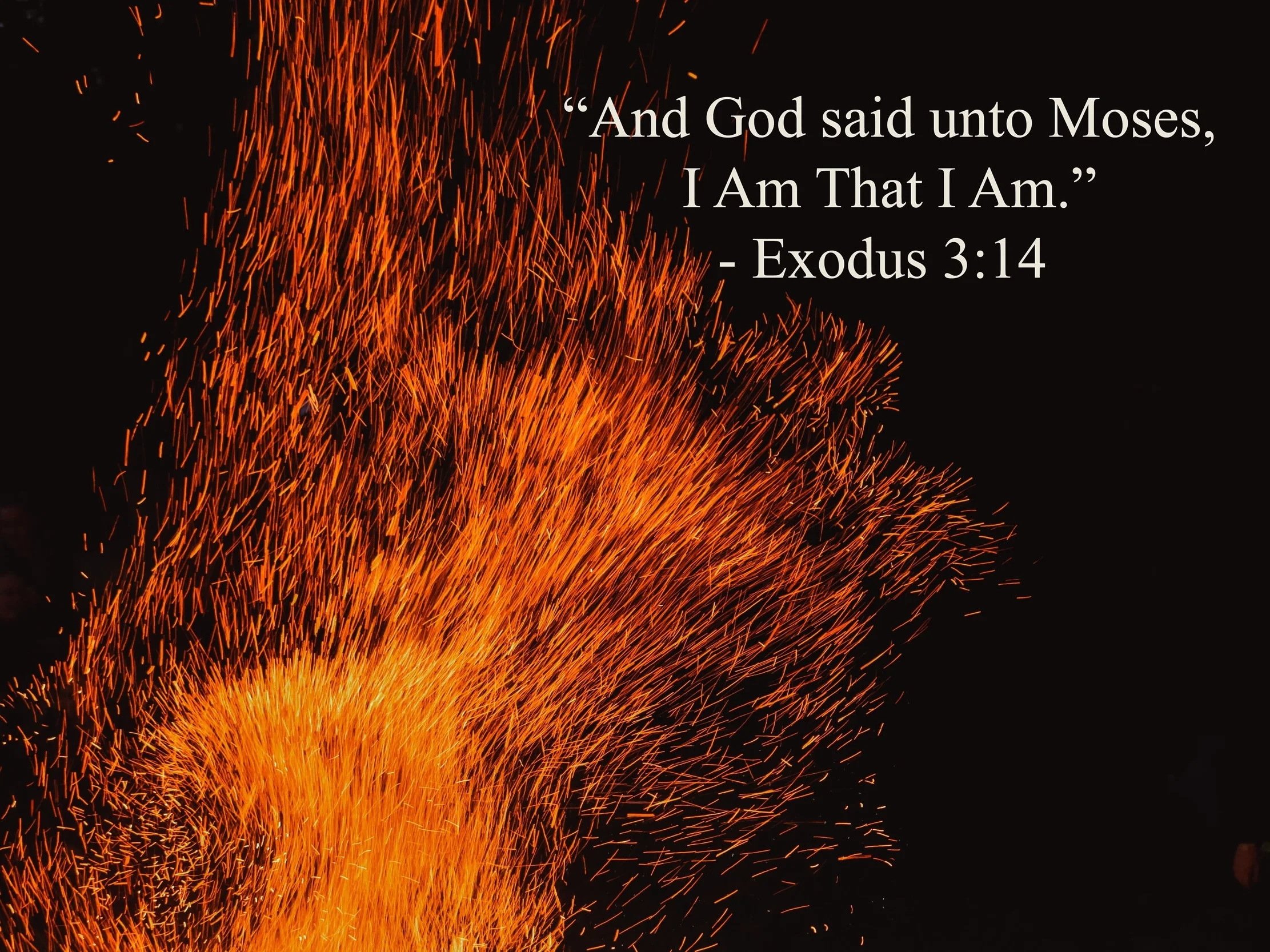 i am.jpg