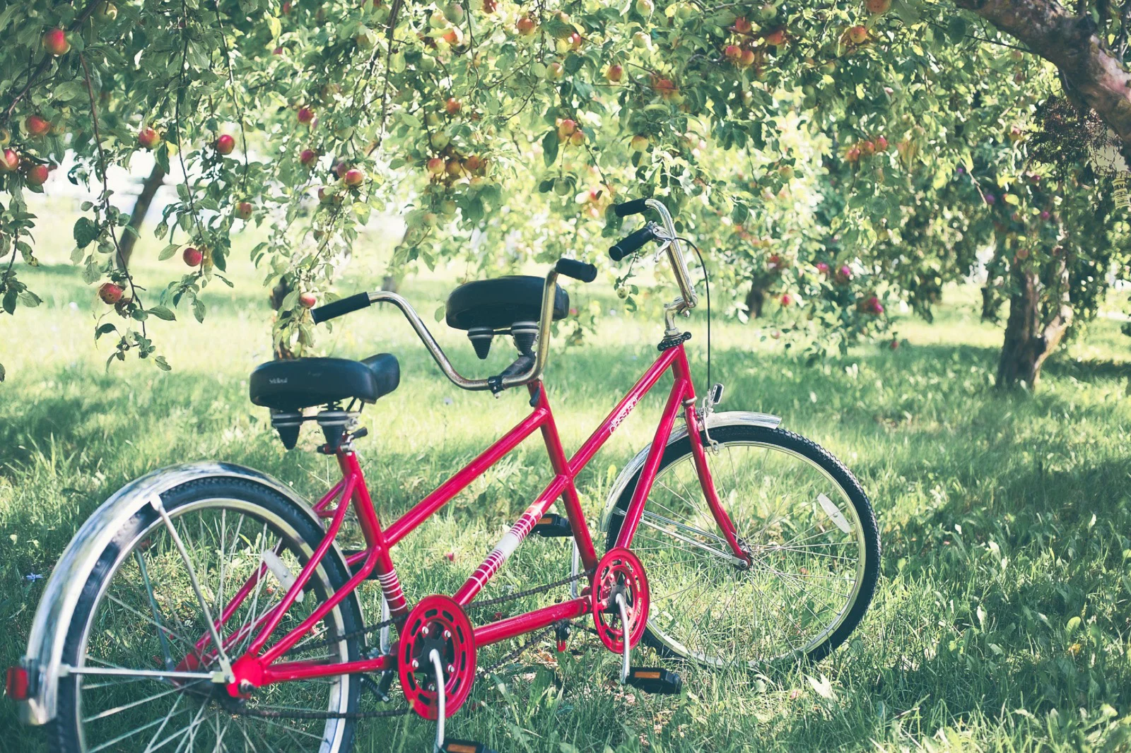 bike.jpg