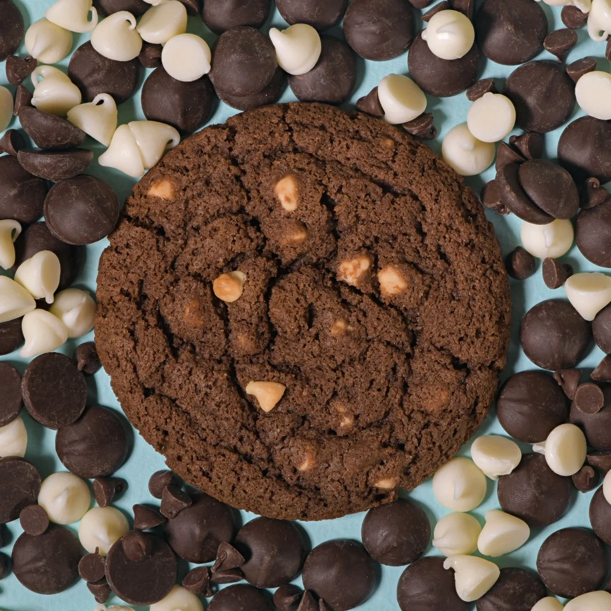 cookie-DSC_7988.jpg