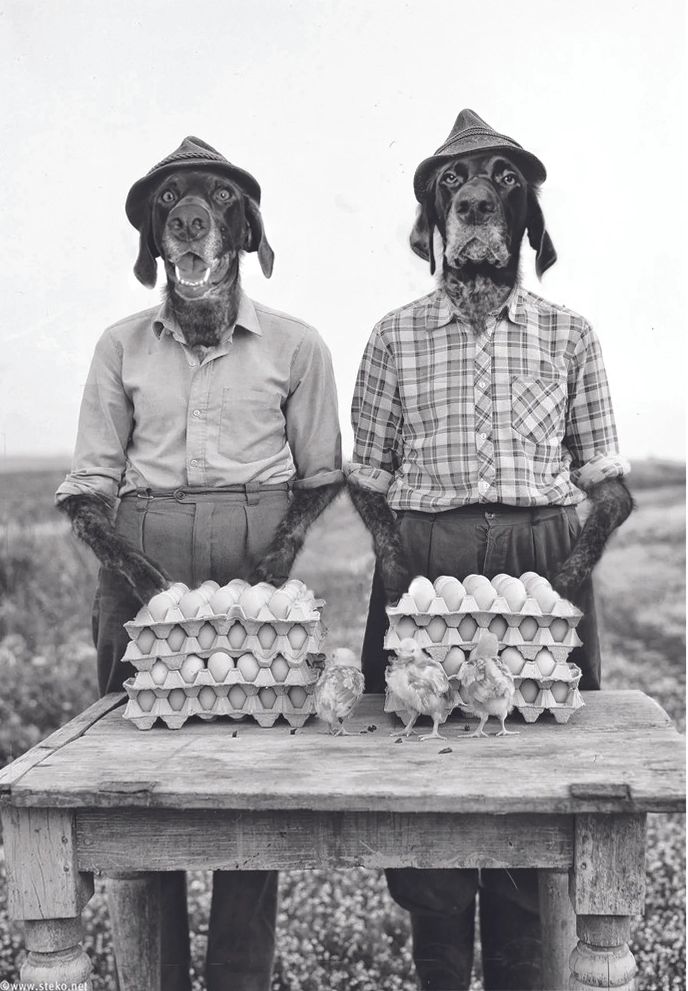 Gordon and Lyle Pointerson. Dust Bowl era chicken farmers. Gordon foresaw the disasters coming from the unnatural growing practices of the times. Lyle on the other hand mistakenly thought Gordon was referring to a ‘dust ball’ 1928 .