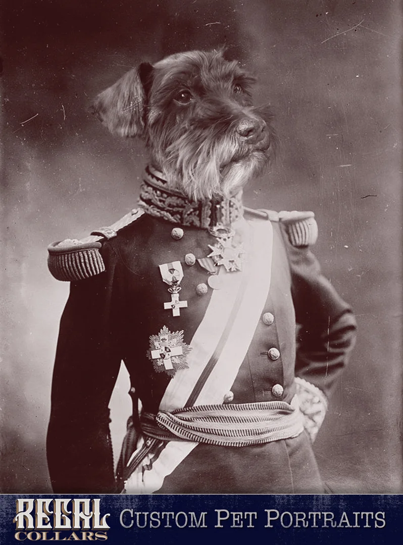 Send us a photo of your pet, and we’ll dress them up!