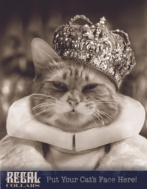Send us a photo of your pet, and we’ll dress them up!