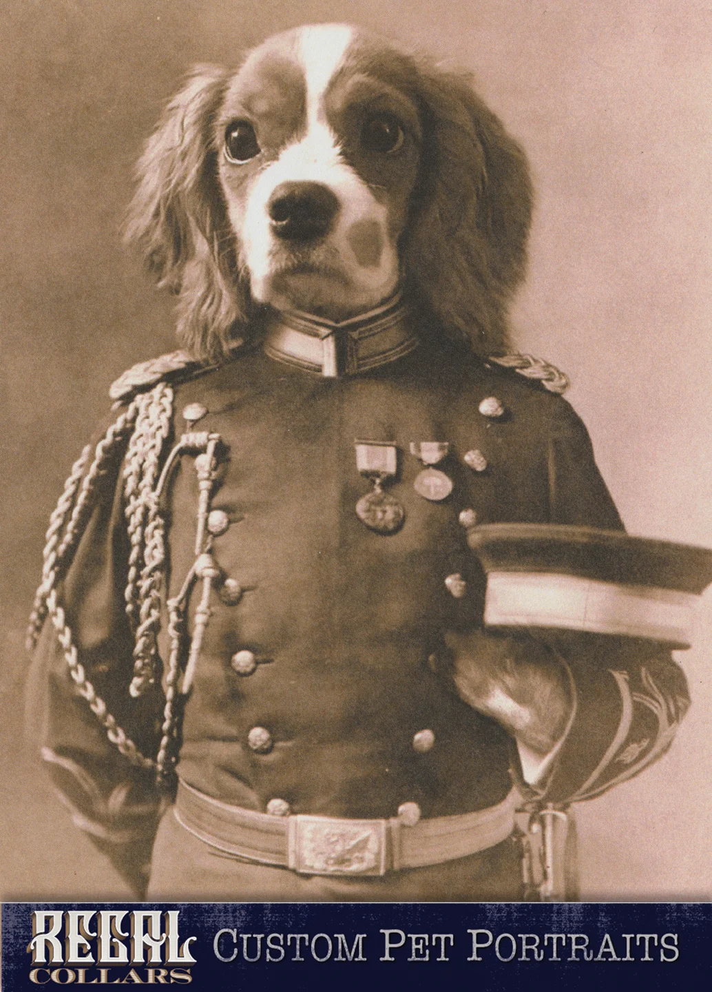 Send us a photo of your pet, and we’ll dress them up!