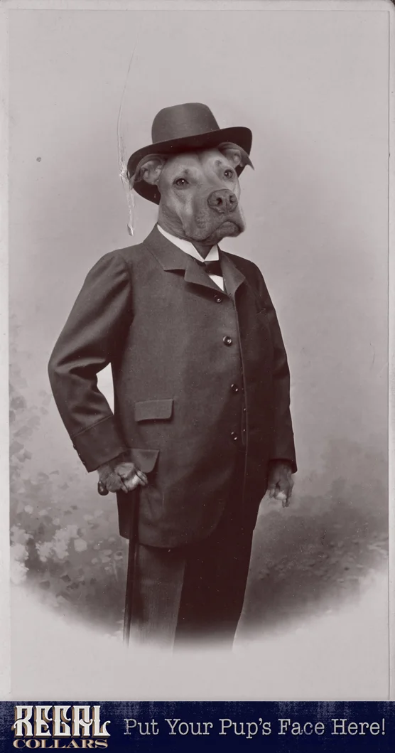 Send us a photo of your pet, and we’ll dress them up!