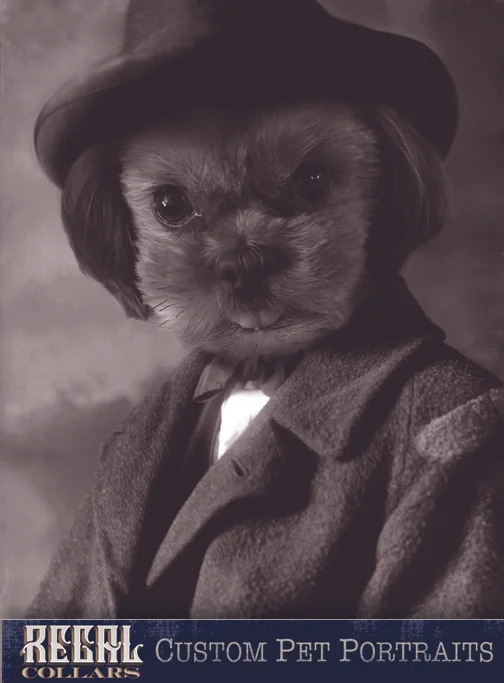 Send us a photo of your pet, and we’ll dress them up!