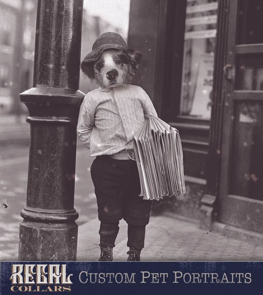 Send us a photo of your pet, and we’ll dress them up!