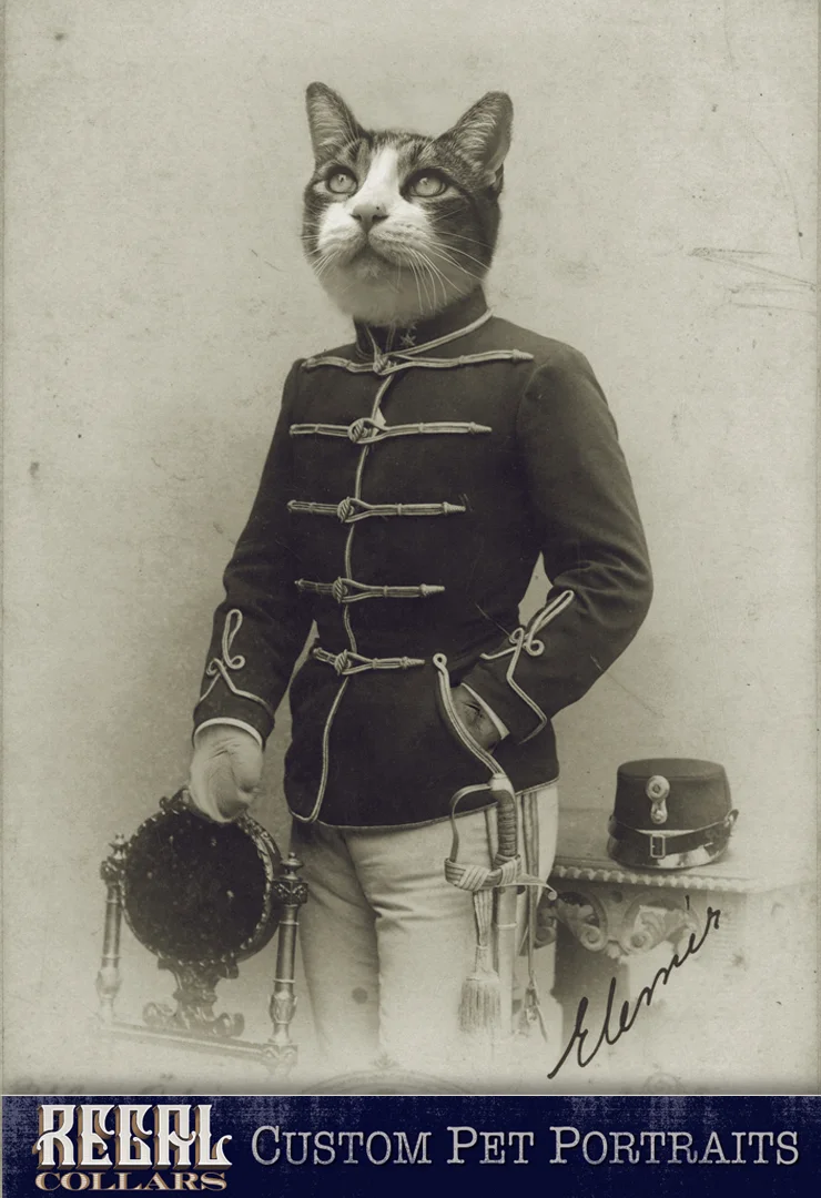 Send us a photo of your pet, and we’ll dress them up!