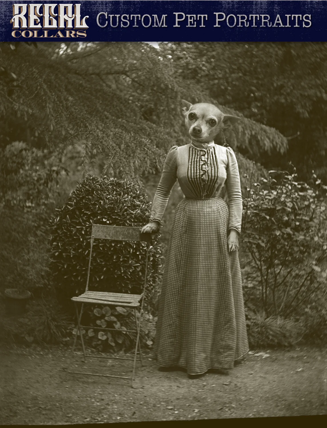 Send us a photo of your pet, and we’ll dress them up!