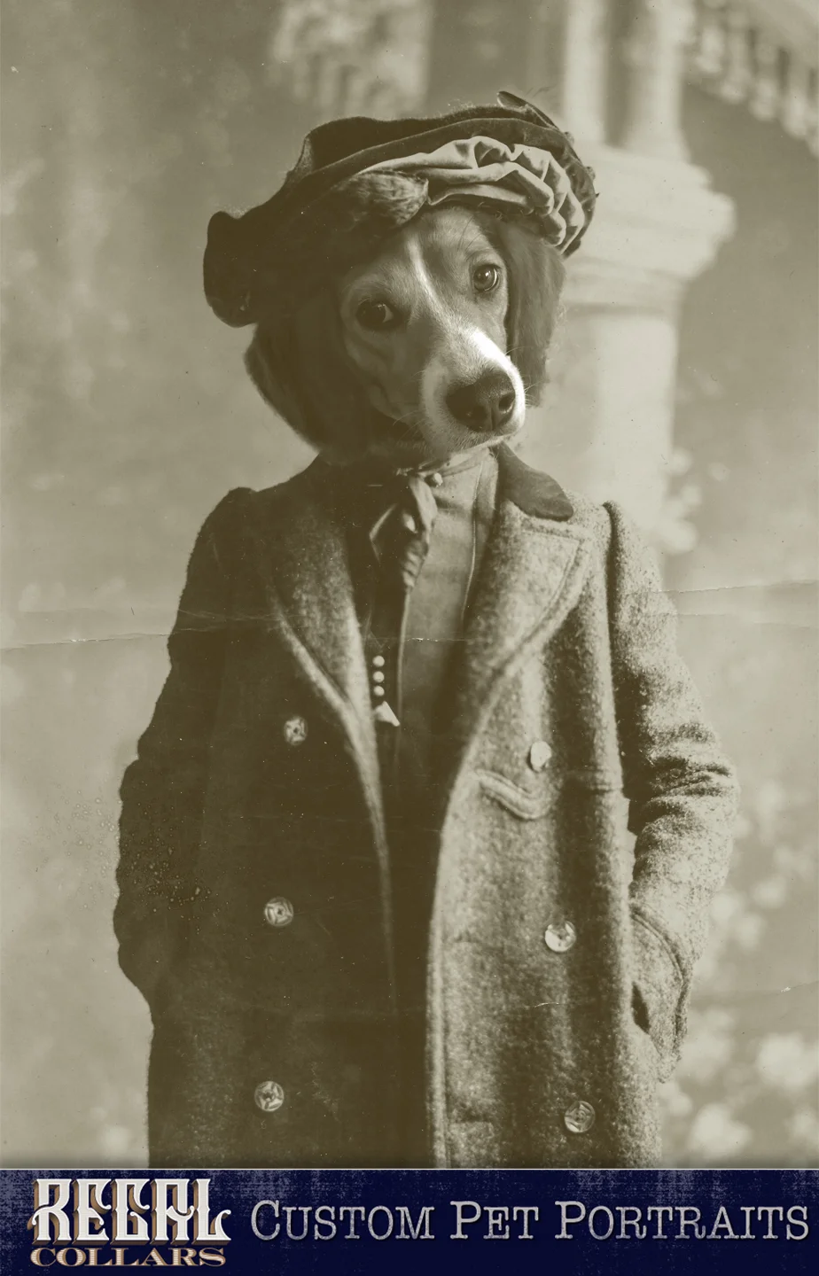 Send us a photo of your pet, and we’ll dress them up!
