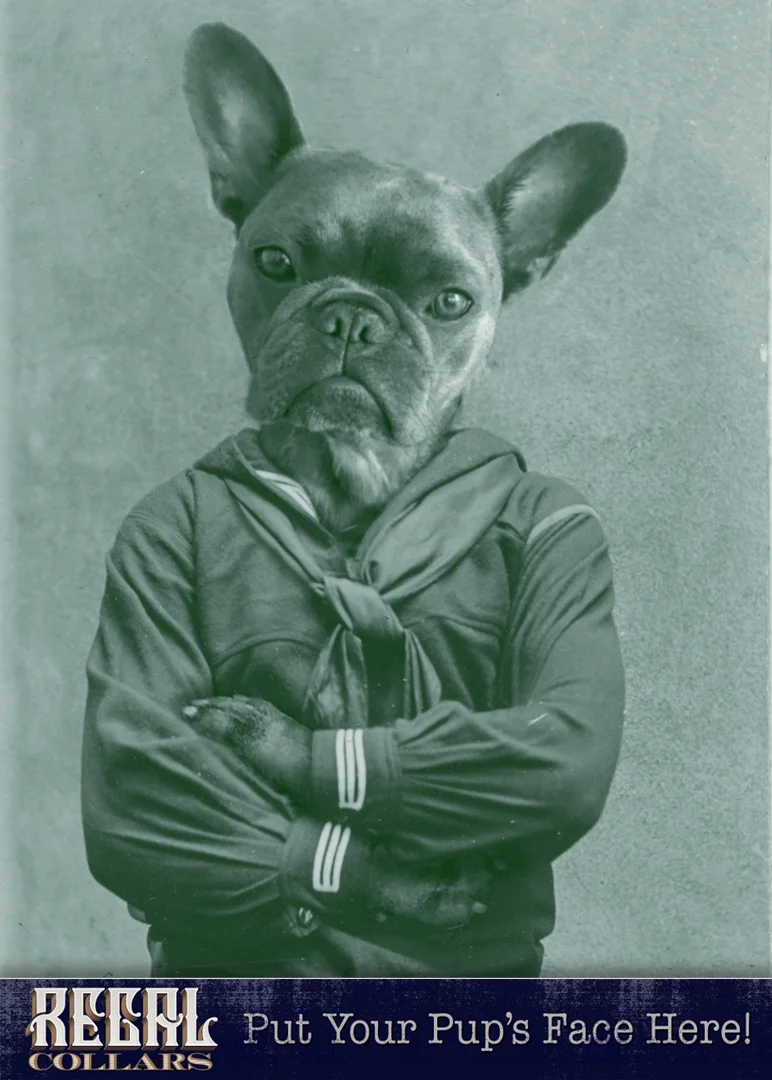 Send us a photo of your pet, and we’ll dress them up!