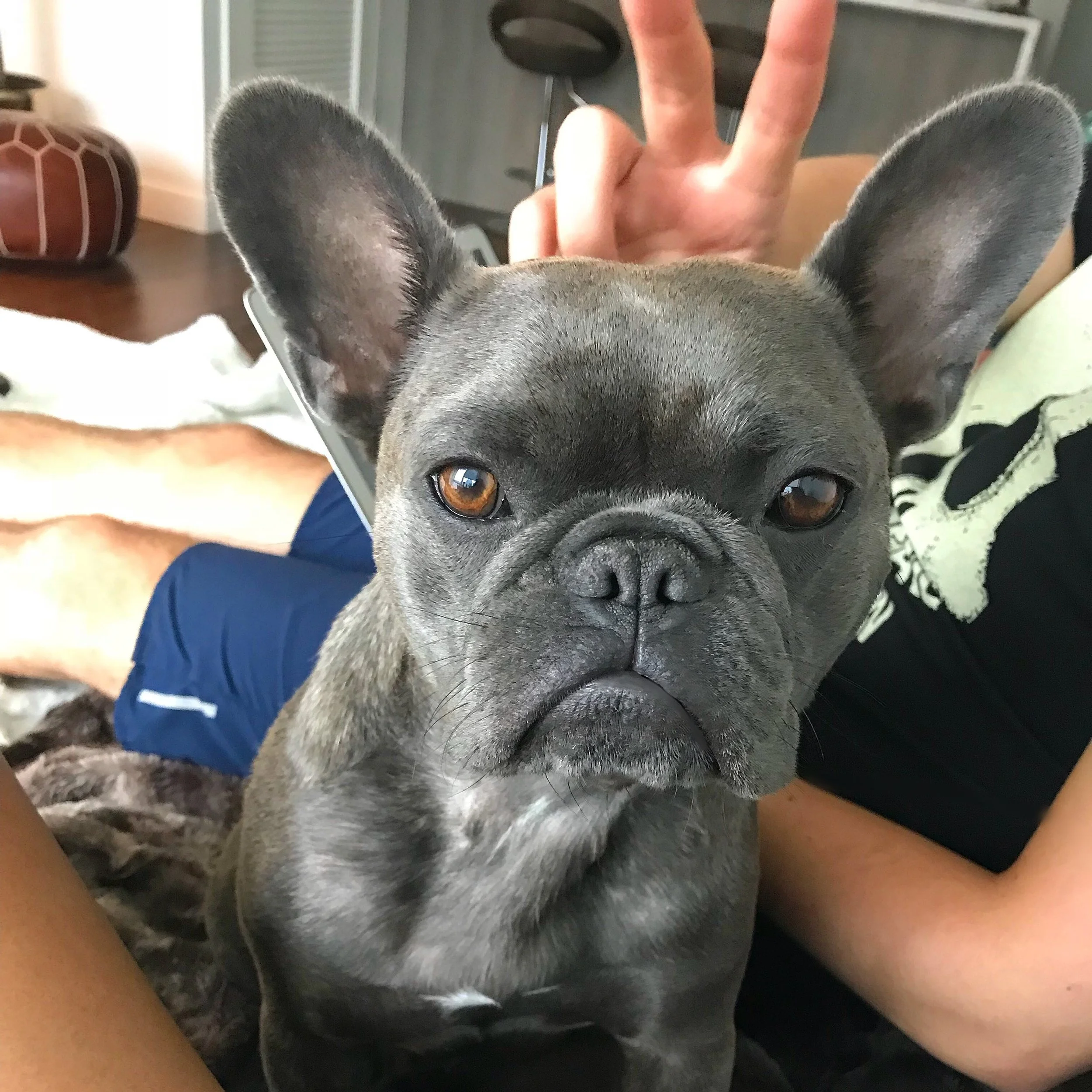 image1_1.jpeg