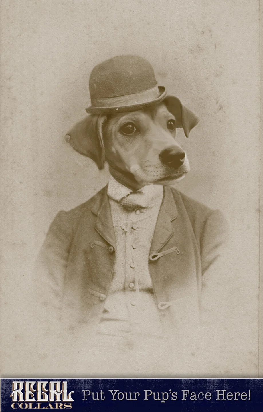 Send us a photo of your pet, and we’ll dress them up!