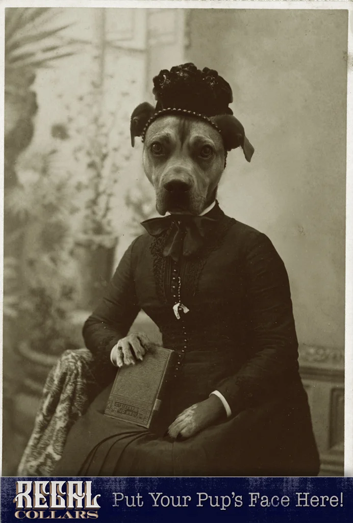 Send us a photo of your pet, and we’ll dress them up!