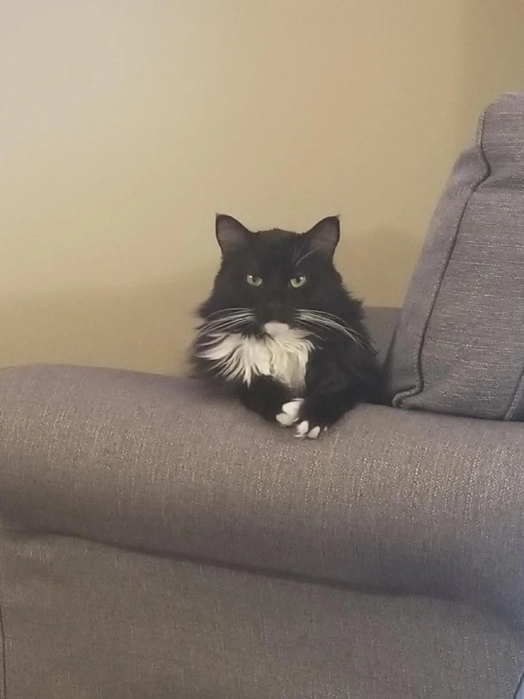 image2.jpeg