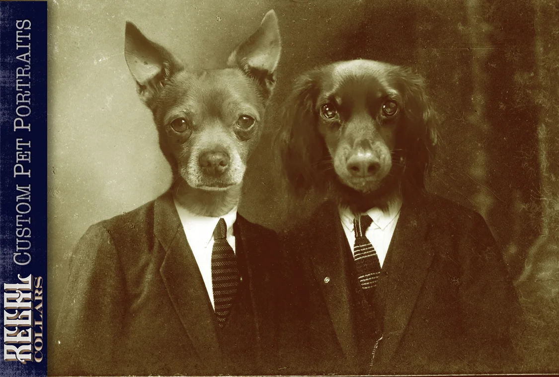 Send us a photo of your pet, and we’ll dress them up!