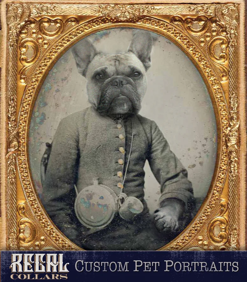 Send us a photo of your pet, and we’ll dress them up!