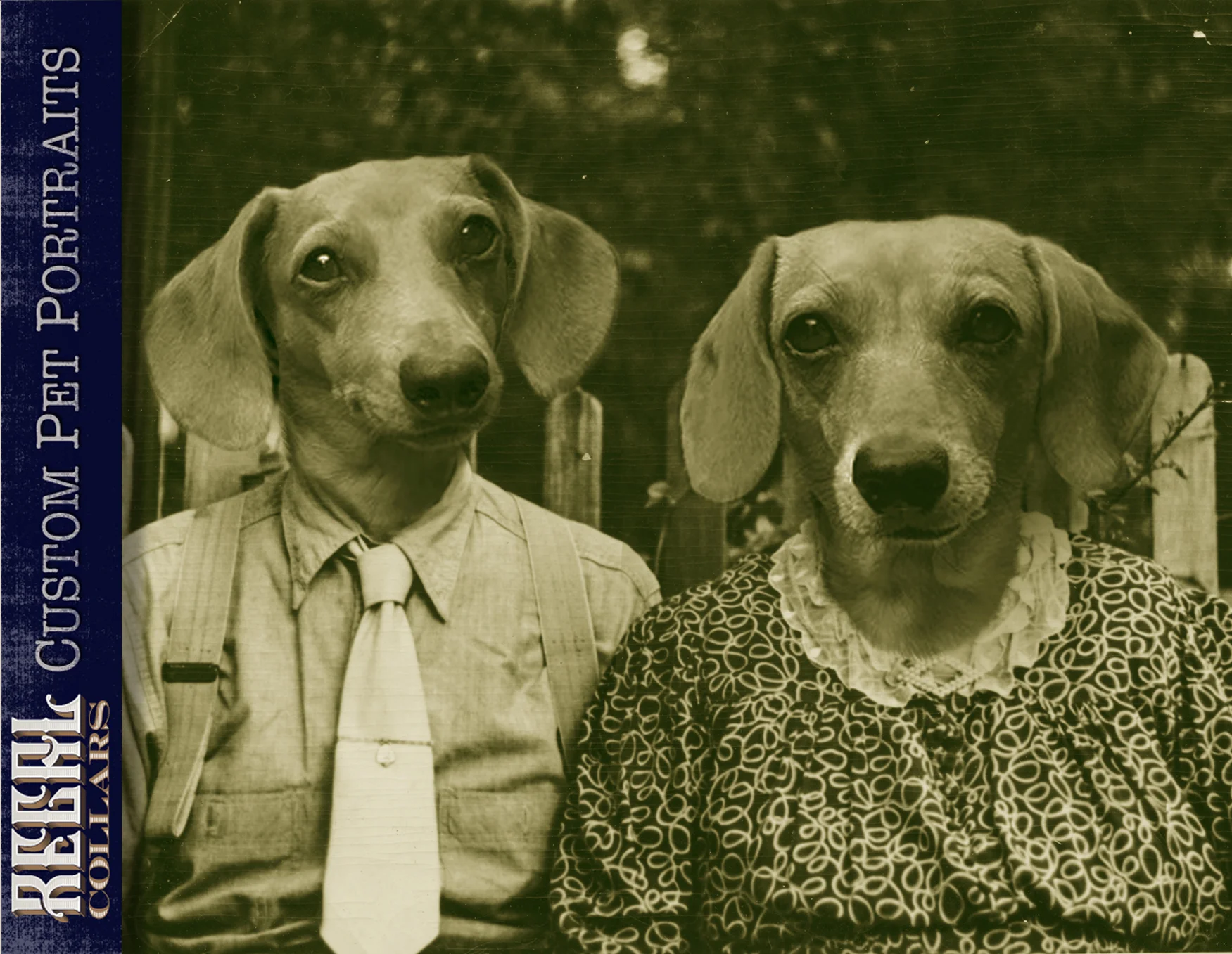 Send us a photo of your pet, and we’ll dress them up!