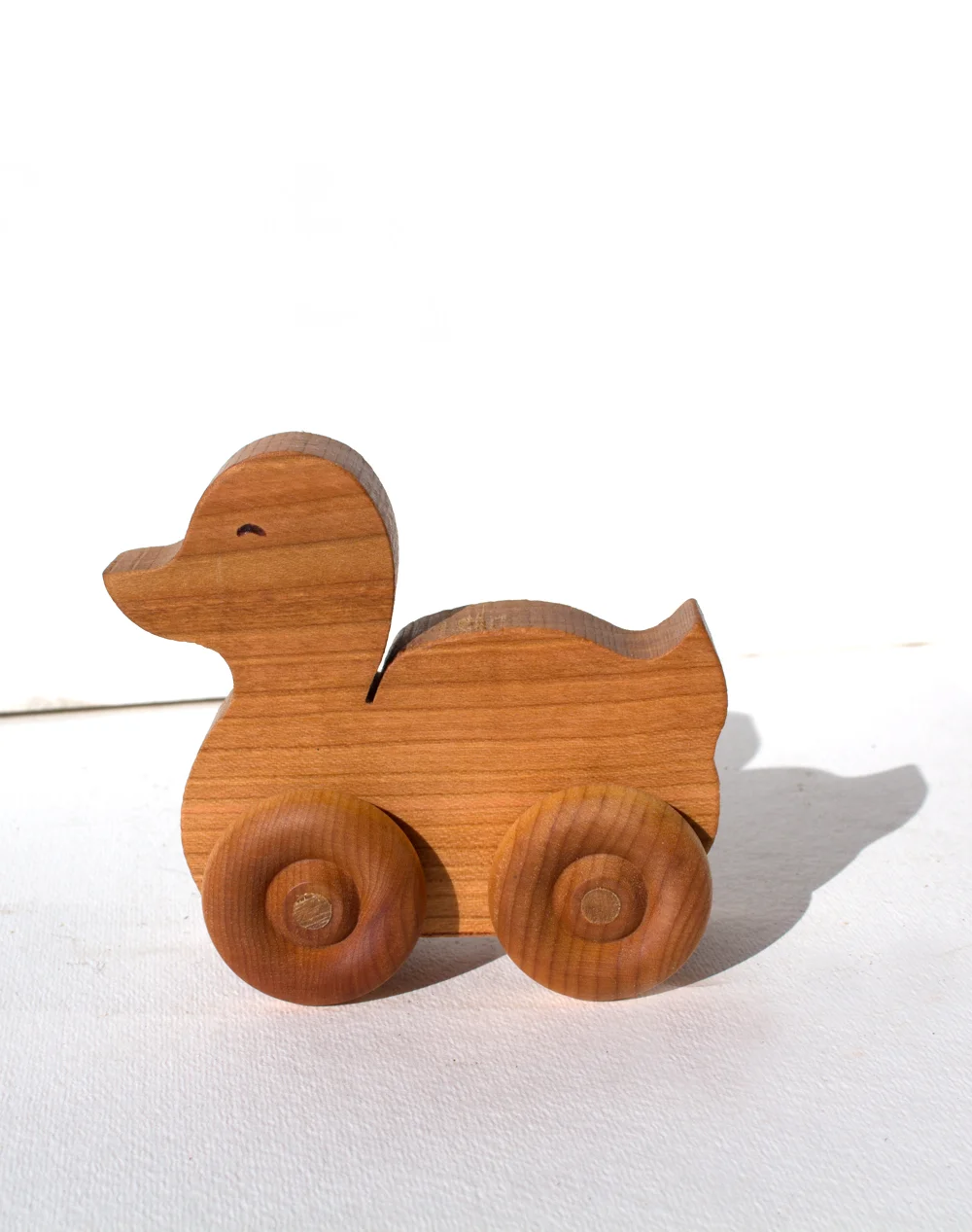 push duck .jpg