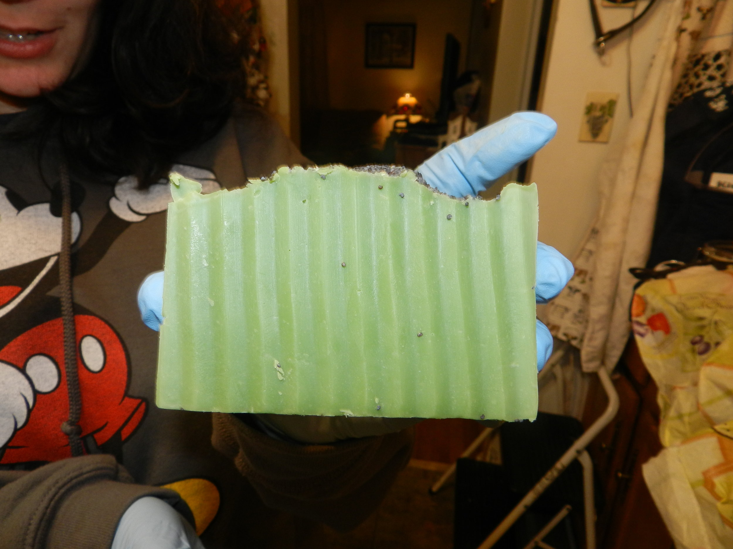 DSCN9526.JPG