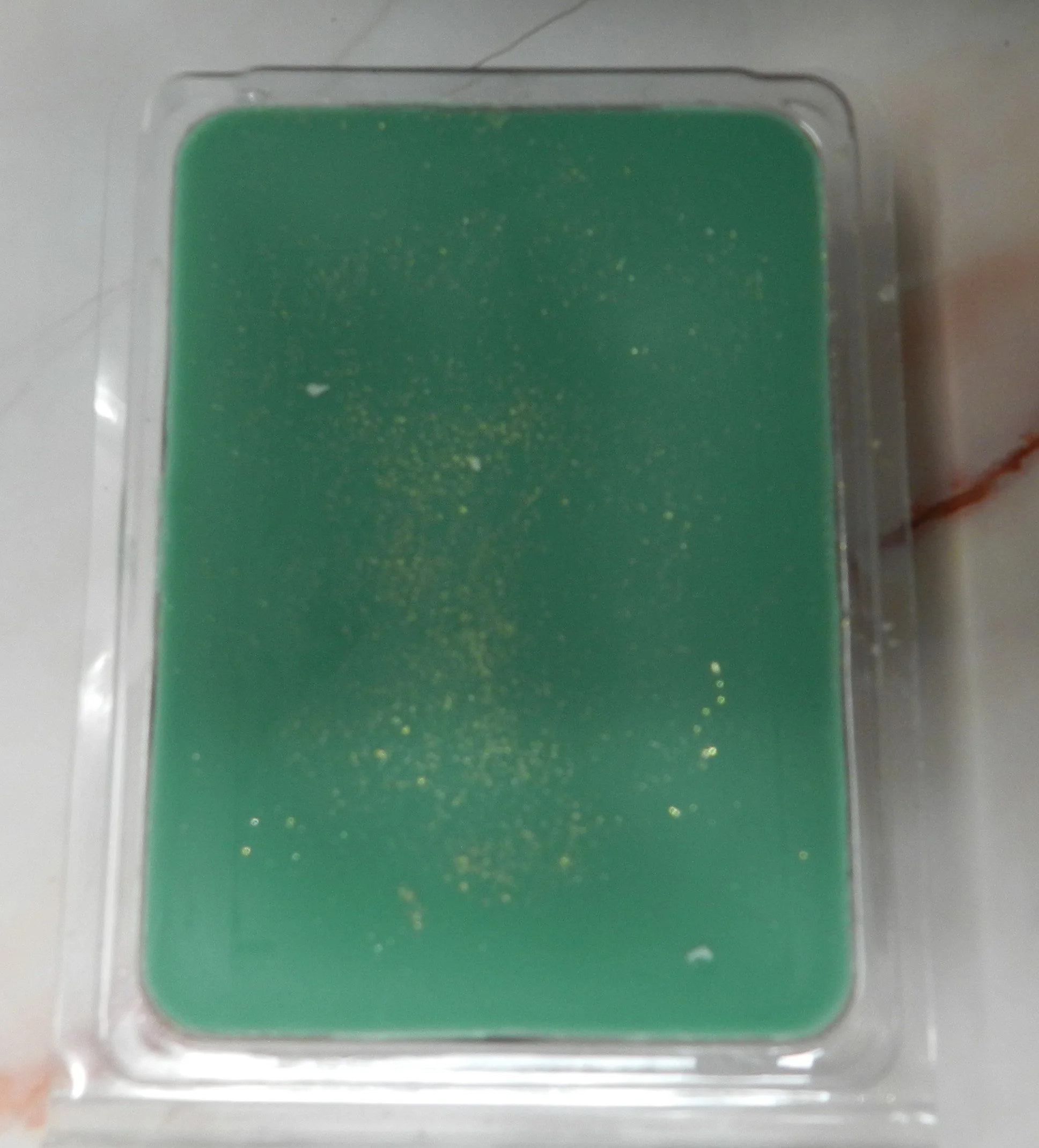 DSCN5813.JPG