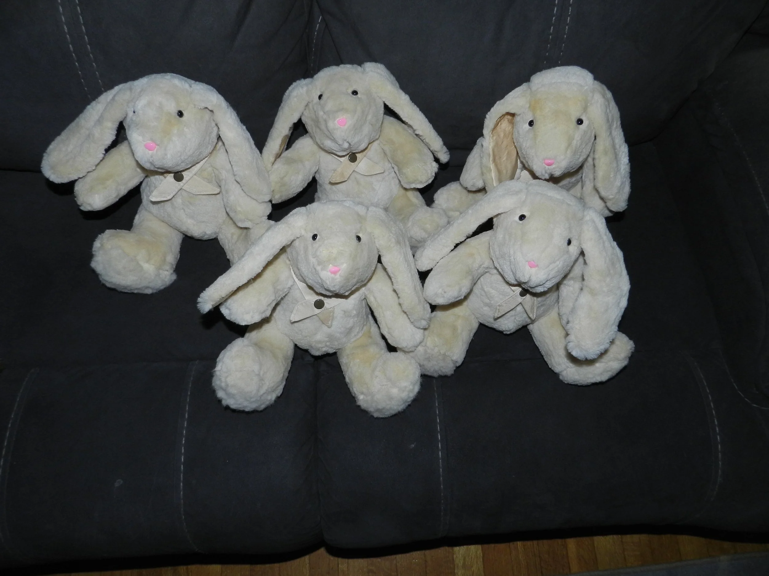 DSCN7704.JPG